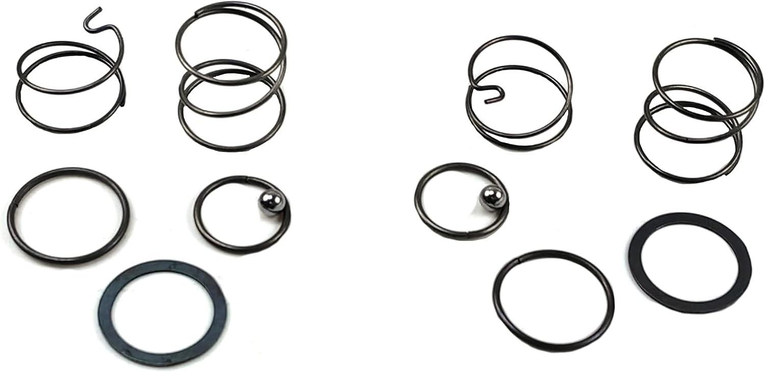 Palart N078434 Spring Kit for 20V Impact Wrench DCF885 DCF886, 2 pcs | Spring an