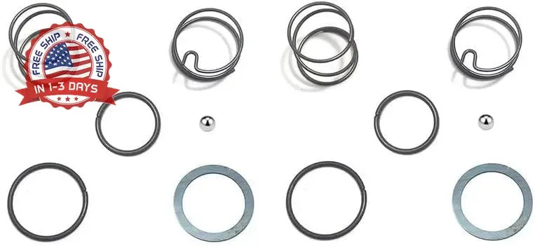 2 SET N078434 N089668 Spring Kits with Steel Ball, Fit DCF885 DCF886, Impact Dri