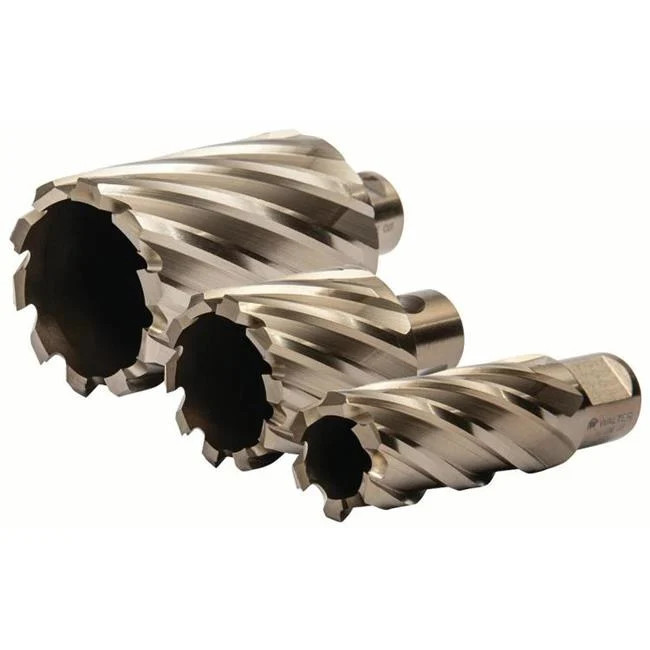 Walter 05A314 0.87 x 2 in. SST Core Cut Bright Annular Cutter – Weldon Shank