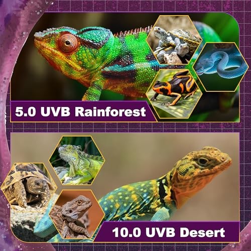 T5 HO UVB Lighting Combo Kit, Reptile Light Fixture, 8W 10.0 UVB | 8.0 Watts